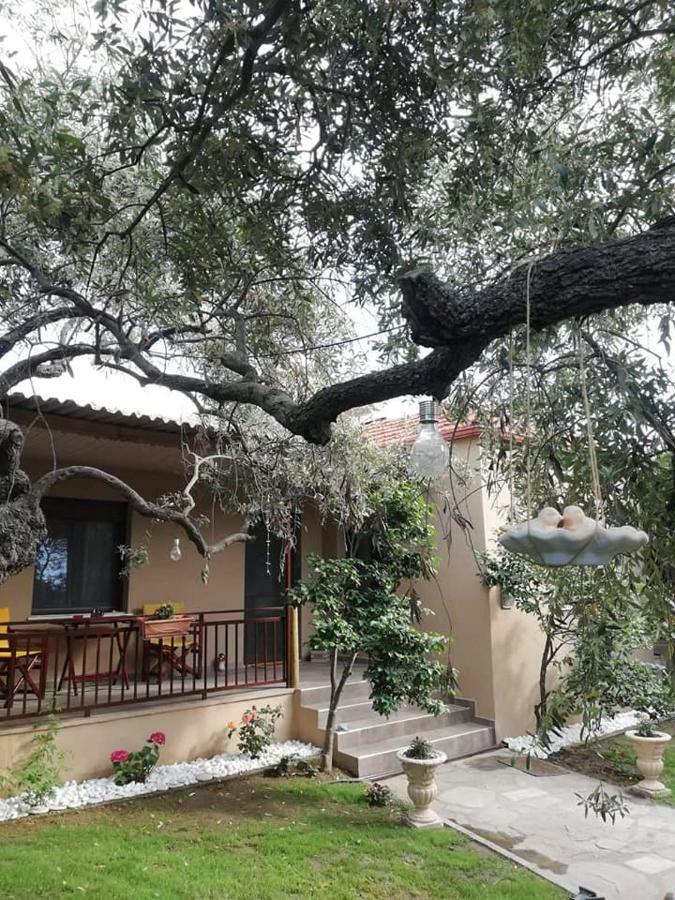 John And Tania'S Garden Villa Prinos  Exterior photo